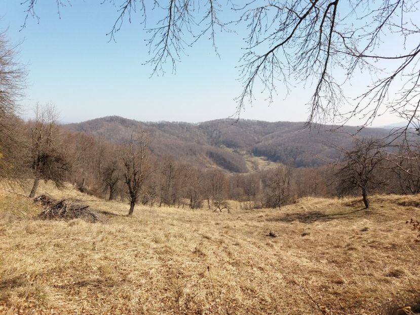  - Satul Hotaru Satul bunicilor