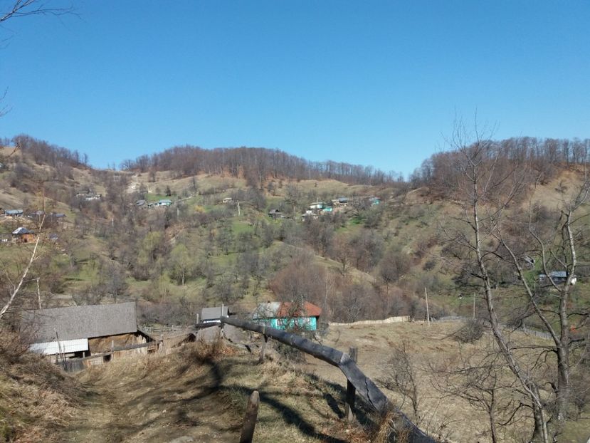  - Satul Hotaru Satul bunicilor