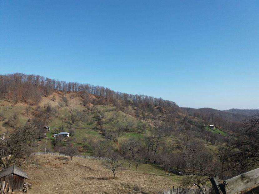  - Satul Hotaru Satul bunicilor