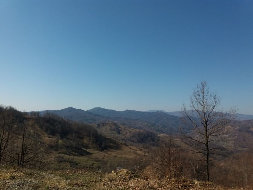  - Satul Hotaru Satul bunicilor