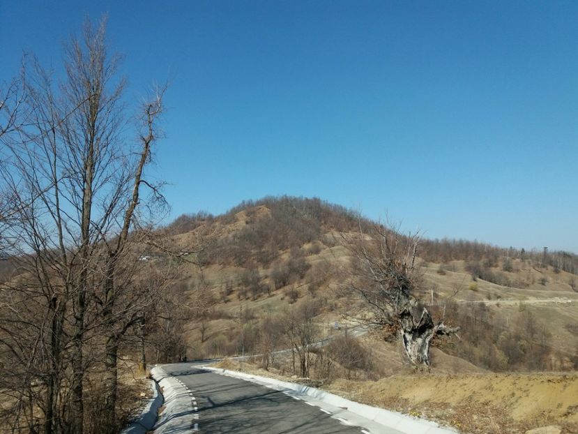 RABADABA_20170323_093434_803593228 - Satul Hotaru Satul bunicilor