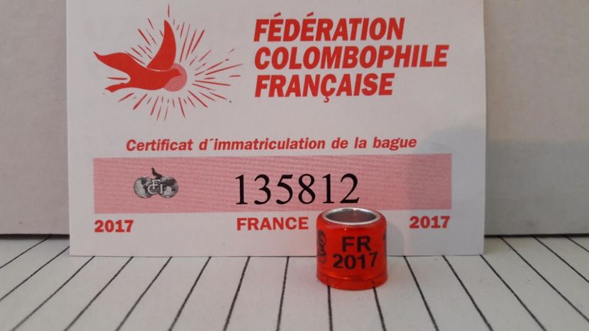 FR 2017 FCI - FRANȚA - FR