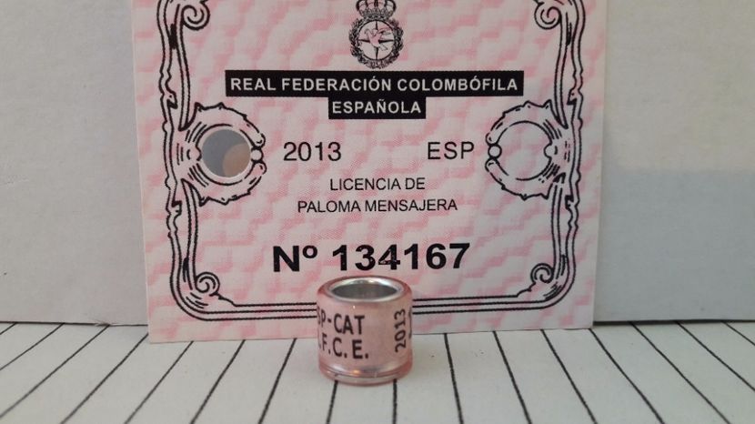 ESP-CAT 2013 RFCE - ESP - CATALONIA