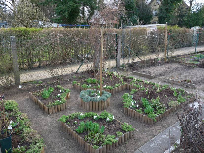 P2050934 - 2017 - 01 - Primavara