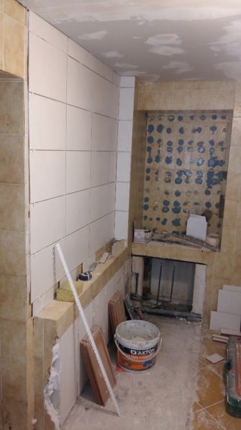  - Lucrari in Lyon 2018