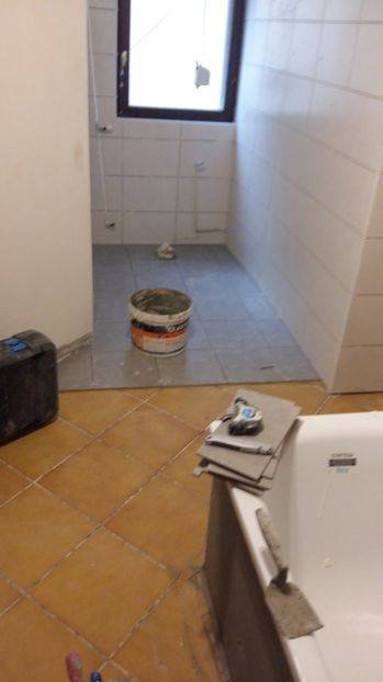  - Lucrari in Lyon 2018