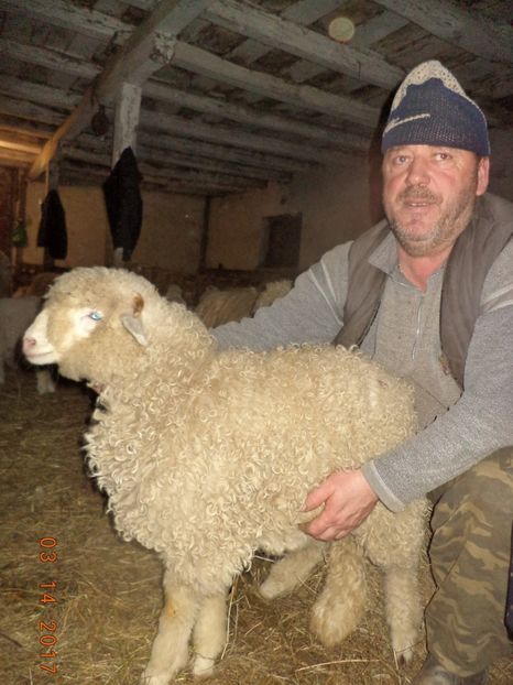  - Productia De Miei 2017