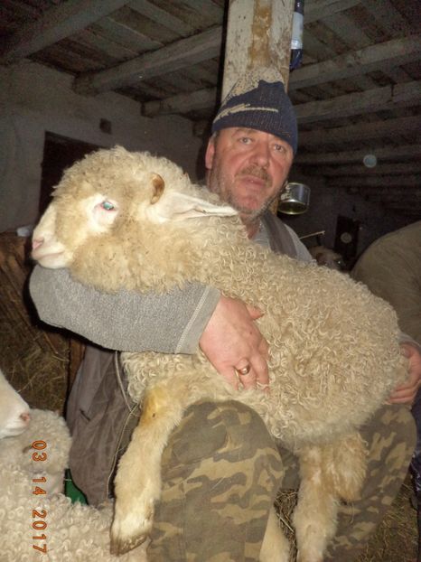  - Productia De Miei 2017