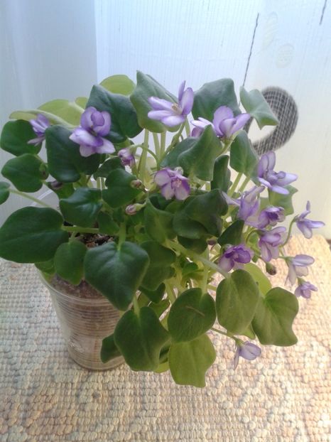 4 feb - Rob s Humpty Doo