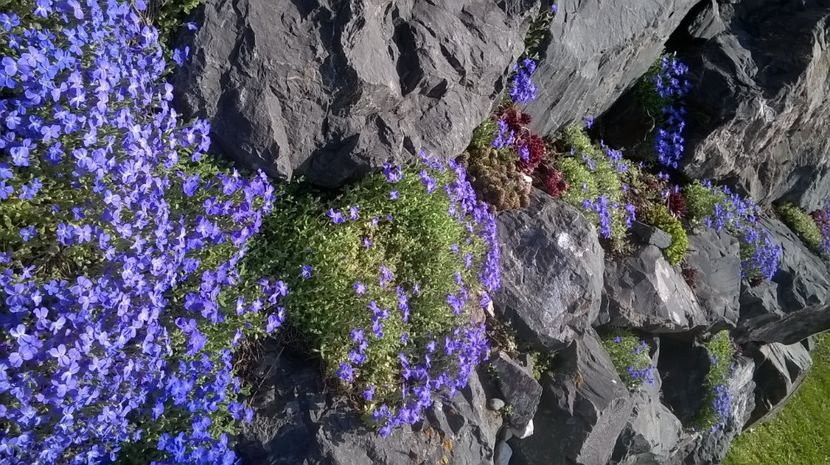  - Gradina de piatra