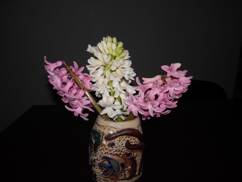  - 000 2017 primele flori