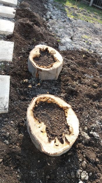  - Primavara lui 2017