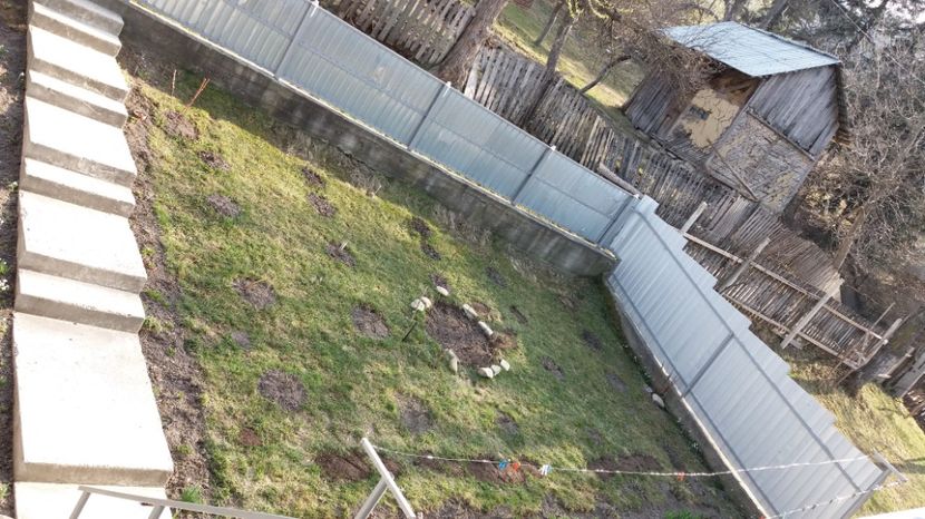  - Primavara lui 2017