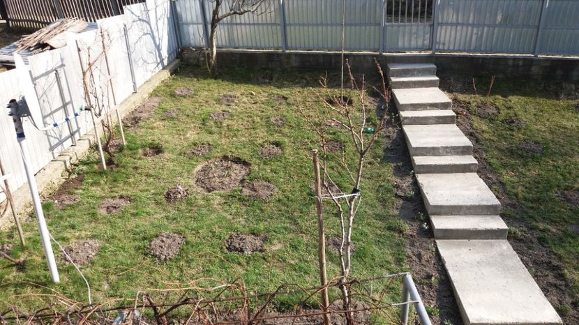  - Primavara lui 2017