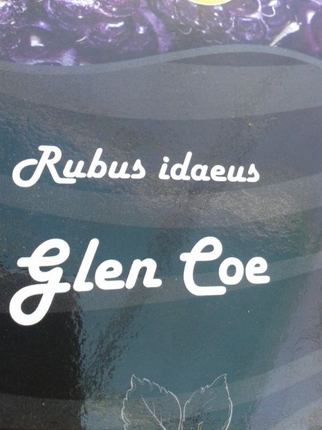 Fotografie0613 - 0 Achizitii 2016-2017