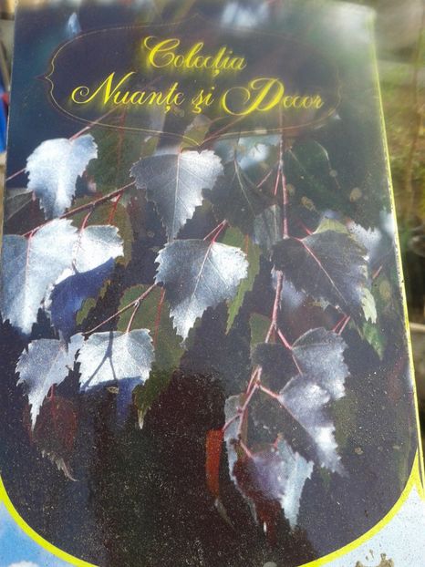 Fotografie0617 - 0 Achizitii 2016-2017