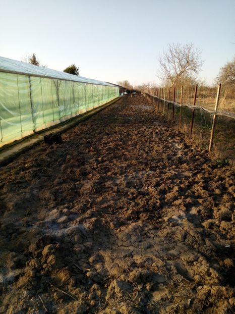 24.03.2017 - 2017 SOLAR 1
