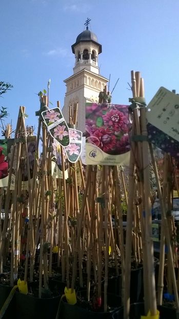  - Targul gradinarilor alba iulia 2017