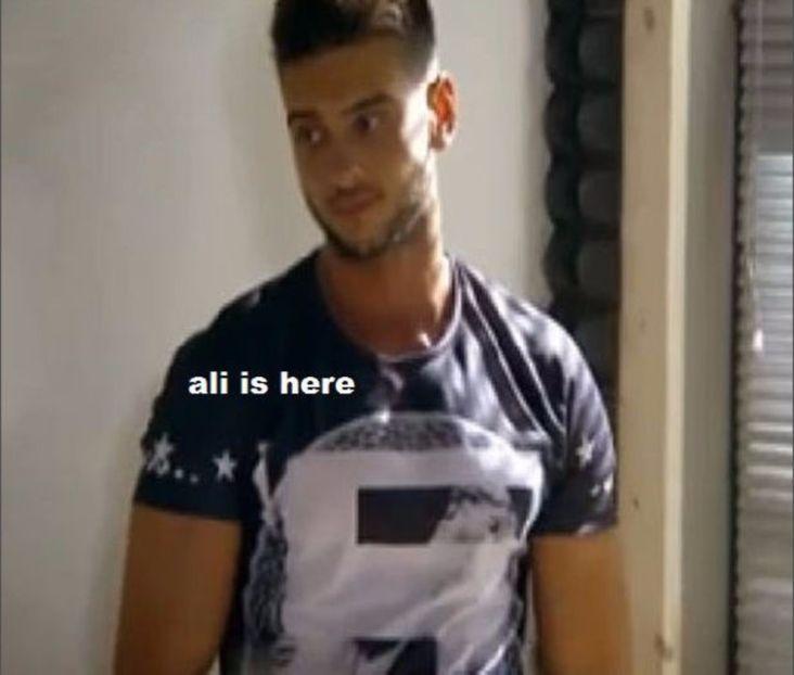 103750920_WHJRJPL3 - 01 andrei - pmdm