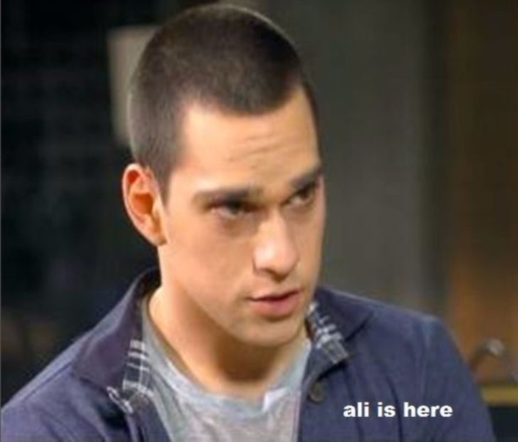 103626624_PNJBYLH - 01 vlad - pmdm