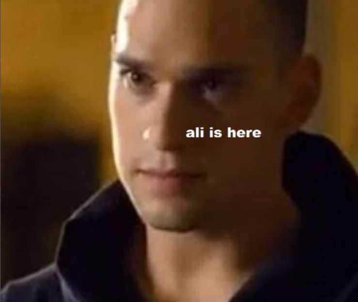 103750846_SUBMNYP - 01 vlad - pmdm