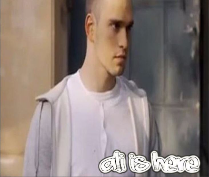 103750937_YVIVDTD - 01 vlad - pmdm
