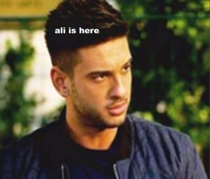 105071156_DGFJLVU3 - 01 andrei - pmdm