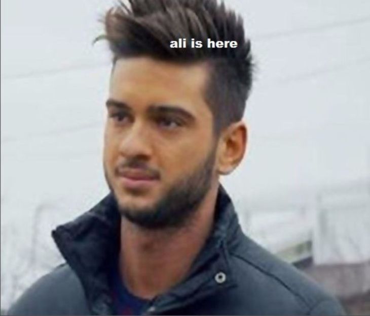 107053757_GBUCGOG - 01 andrei - pmdm