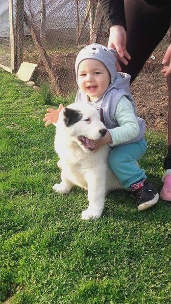 received_1276252555786222 - asia centrala