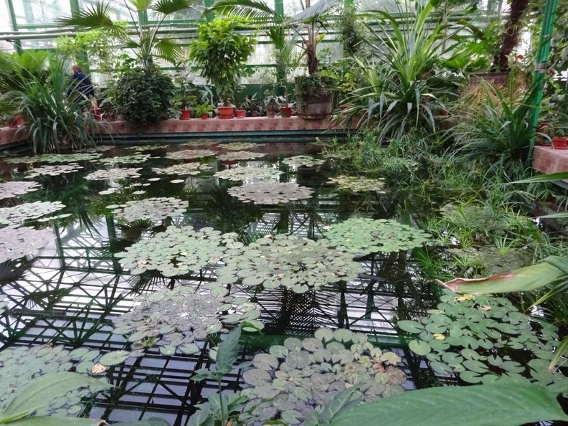  - Gradina Botanica martie 2017