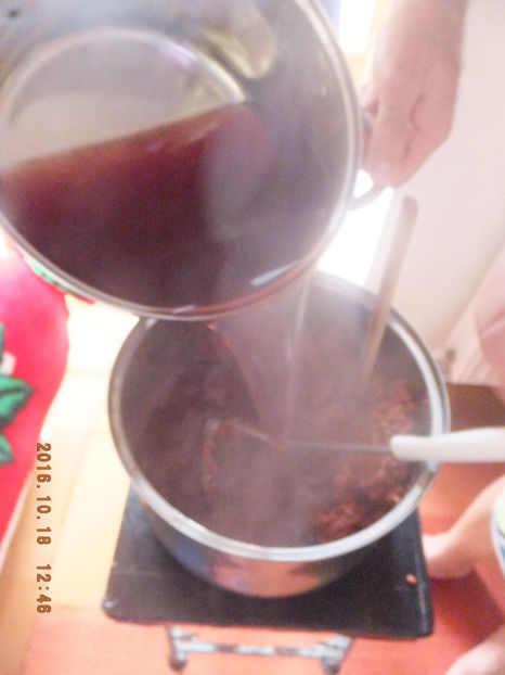 DSCF5145 - Albinute 2016-Cel mai delicat an