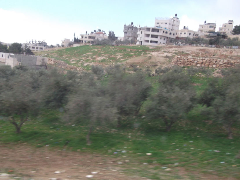 maslini - a patra zi de pelerinaj