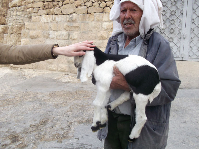 tara sfanta 597 - a patra zi de pelerinaj