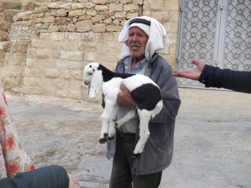 tara sfanta 598 - a patra zi de pelerinaj