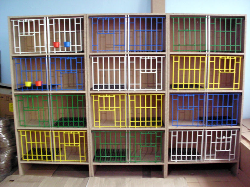 Tel. comenzi : 0767.044.945 - RAFT VADUVIE - 250 lei