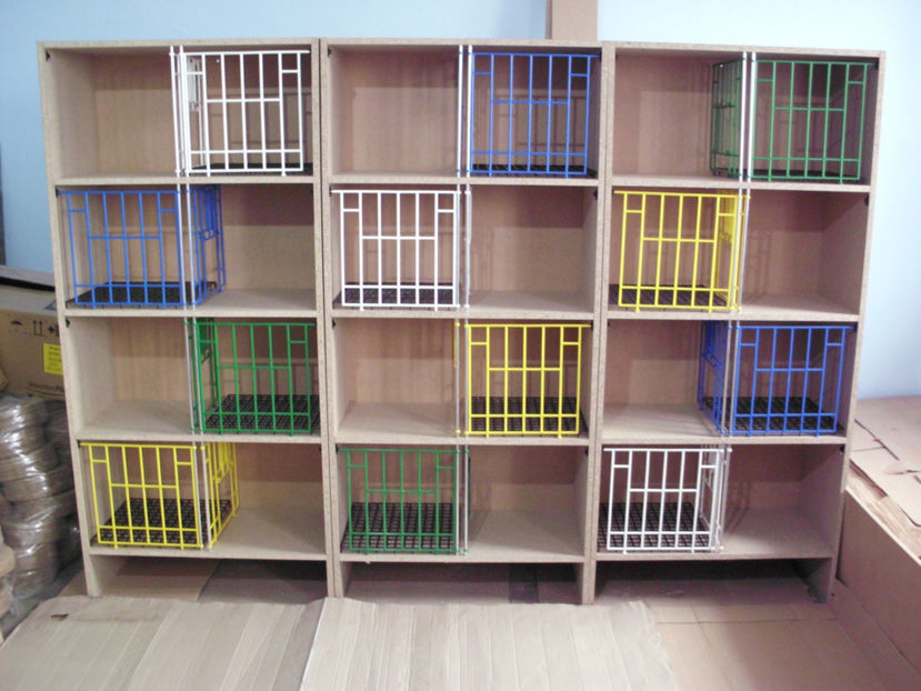 HPIM1283 - RAFT VADUVIE - 250 lei