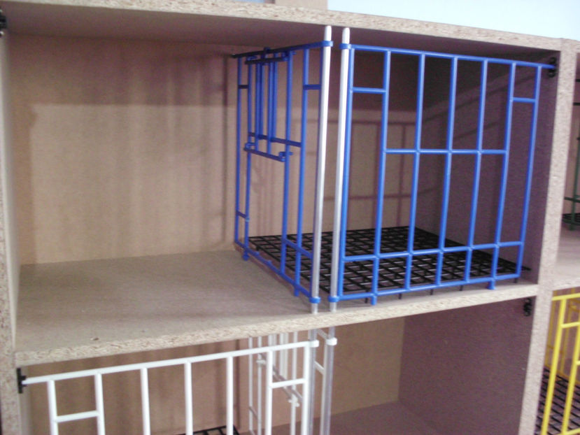 HPIM1284 - RAFT VADUVIE - 250 lei