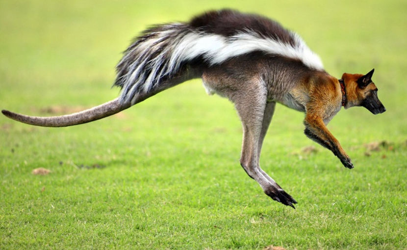  - NATURA ȘI SURPRIZELE EI