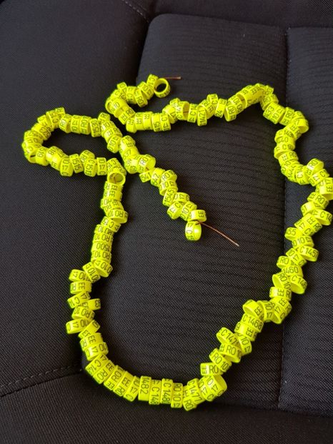 INELE 2017 - 7___   VOLIERA MEA