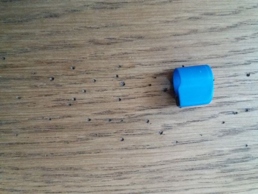 ( 1 buc) - CIPURI   BROCOANE  CLEME