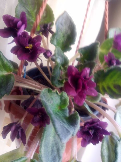  - Cred ca este Armarghedon