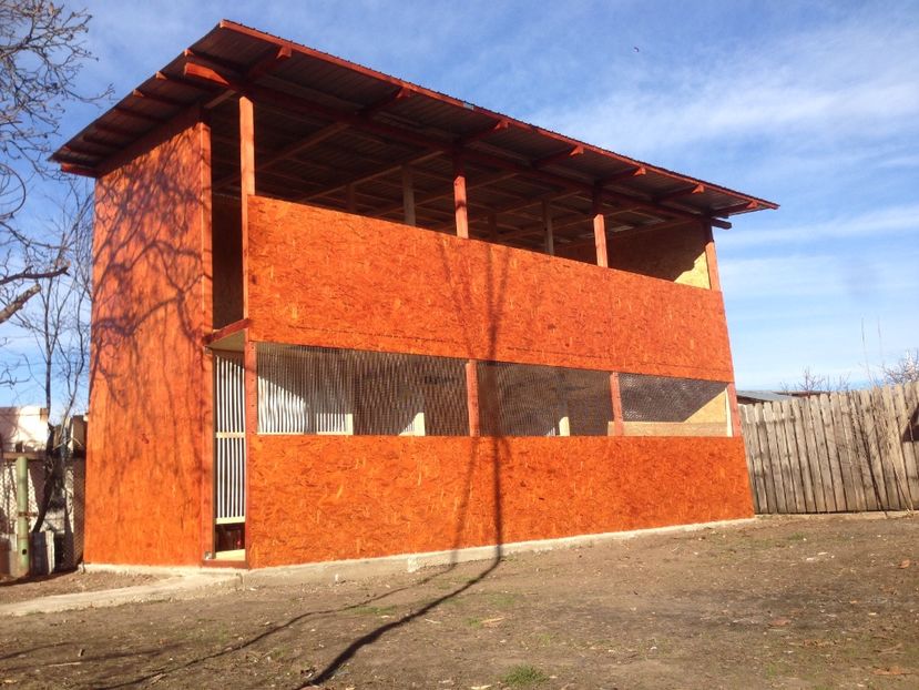  - Constructia crescatoriei de la zero realizata in 2017