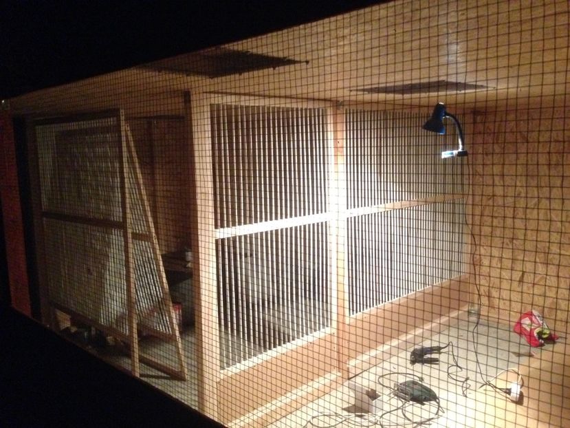  - Constructia crescatoriei de la zero realizata in 2017