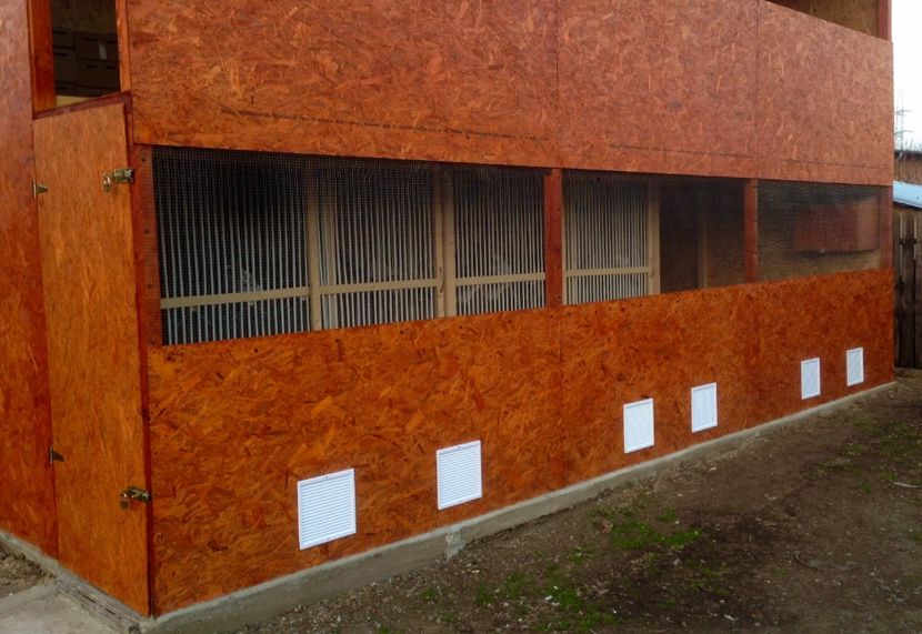  - Constructia crescatoriei de la zero realizata in 2017