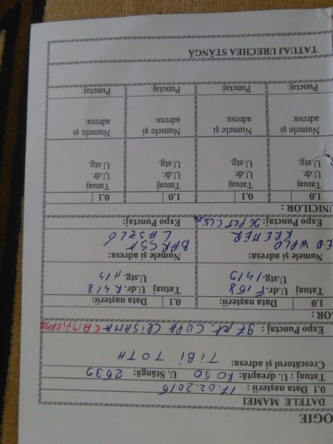  - URGENT Pereche ug GRI De vanzare !!! REZERVATI vanduti