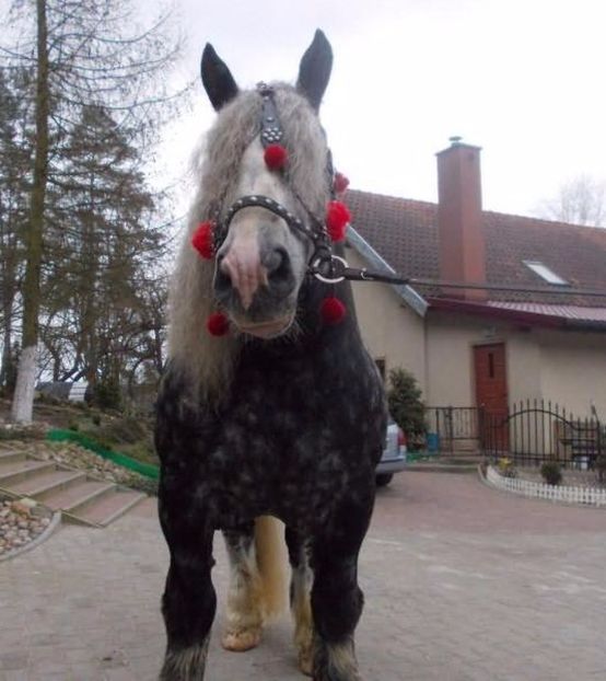 28540561_4827_d - ALTI ARMASARI FRUMOSI nu ii detin