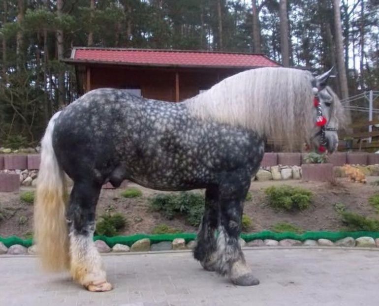 28540561_4875_d - ALTI ARMASARI FRUMOSI nu ii detin