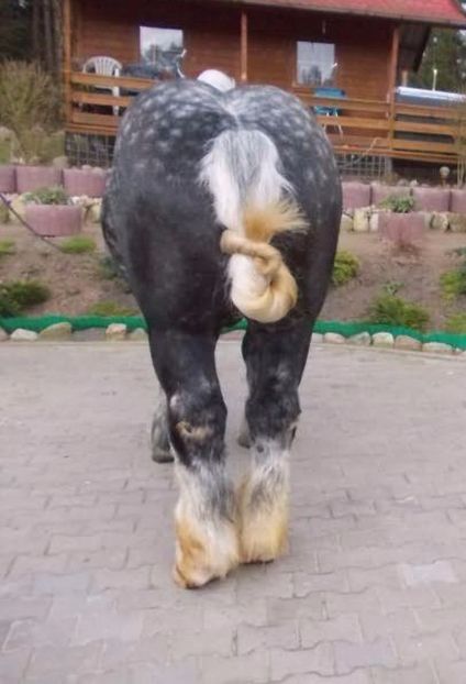 28540561_9617_d - ALTI ARMASARI FRUMOSI nu ii detin