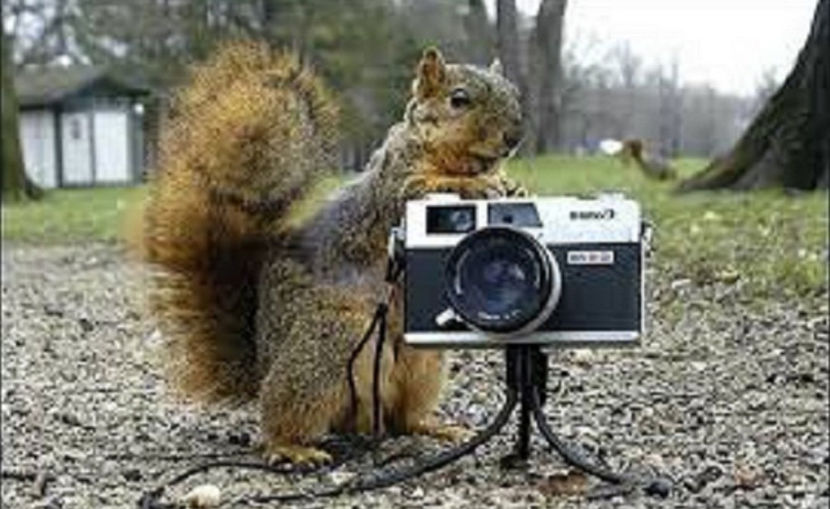 zâmbiți, vă rog!! - NATURA ȘI SURPRIZELE EI