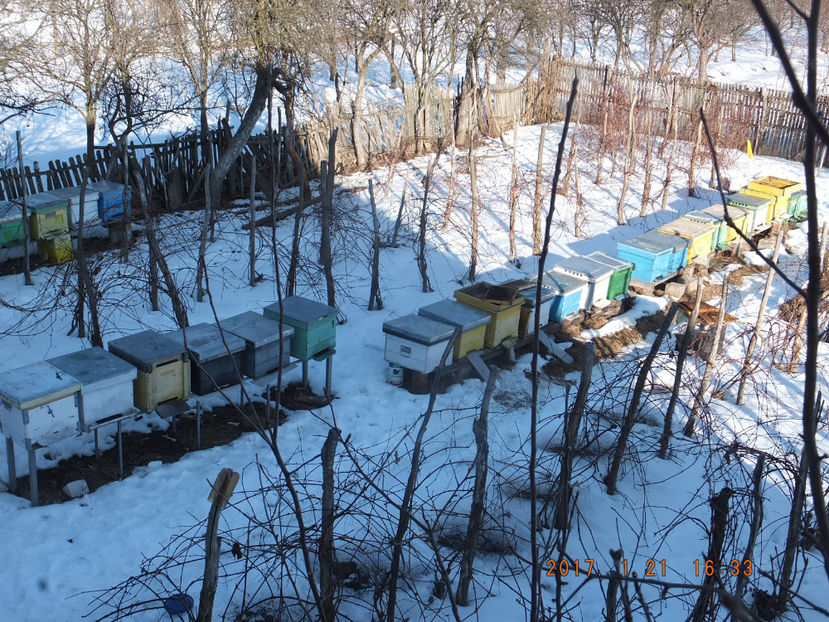 DSCF5319 - Albinute 2017- Reintregirea armatei